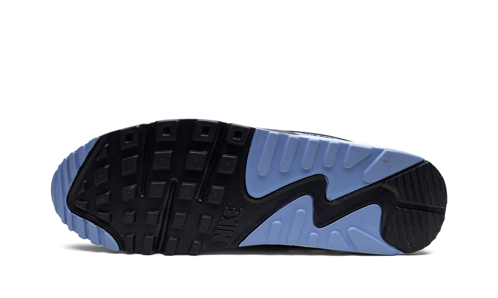Nike Air Max 90 UNC DQ4071 101