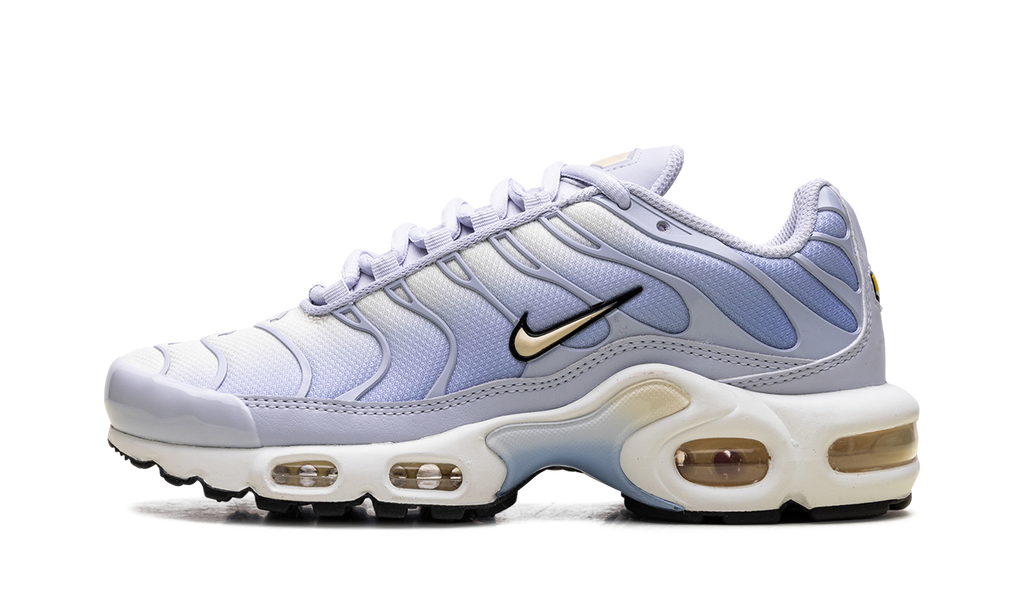 Nike Air Max Plus WMNS Daybreak DZ3670 004