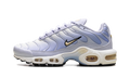 Nike Air Max Plus WMNS Daybreak DZ3670 004