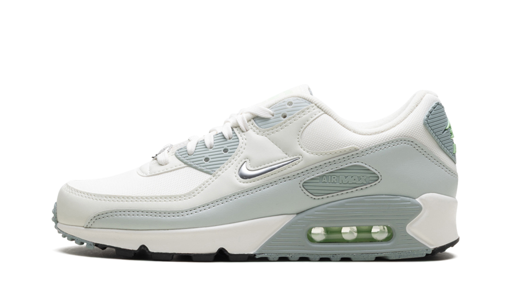 Nike Air Max 90 WMNS Silver FN6948-100