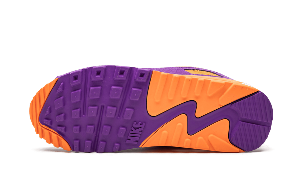 Nike Air Max 90 Viotech CD0917 600
