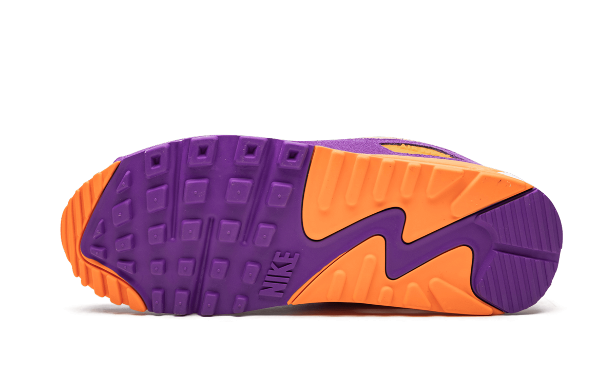 Nike Air Max 90 Viotech CD0917 600