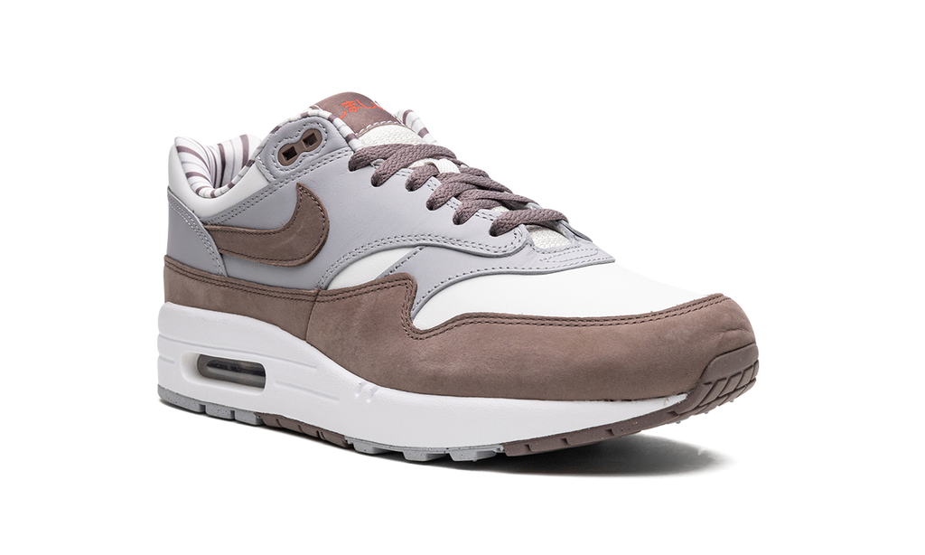 Nike Air Max 1 Shima Shima FB8916 100