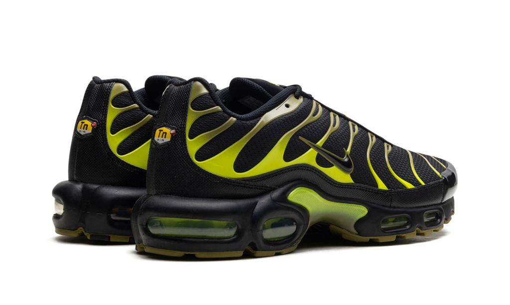 Nike Air Max Plus Green DM0032 010