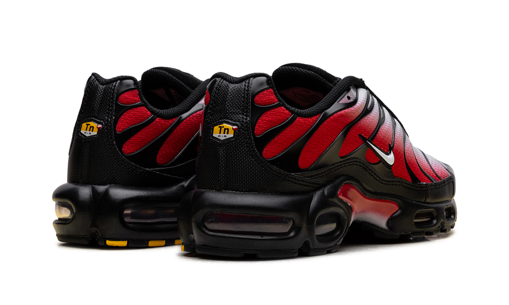 Nike Air Max Plus Red Black White DM0032 017