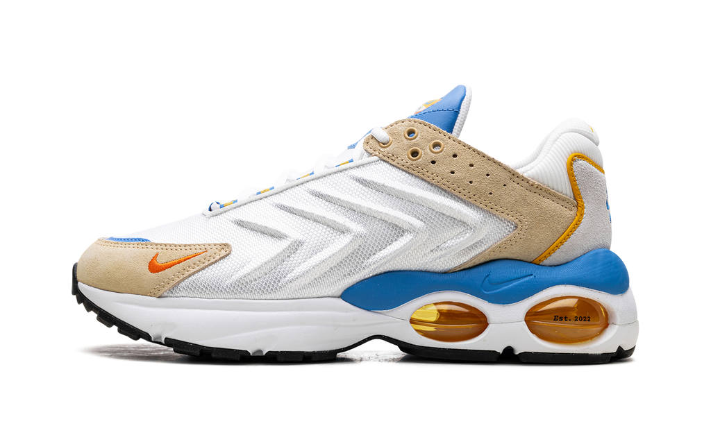 Nike Air Max TW Frank Rudy DV1232 100