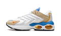 Nike Air Max TW Frank Rudy DV1232 100