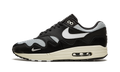 Nike Air Max 1 Patta - Black DQ0299 001