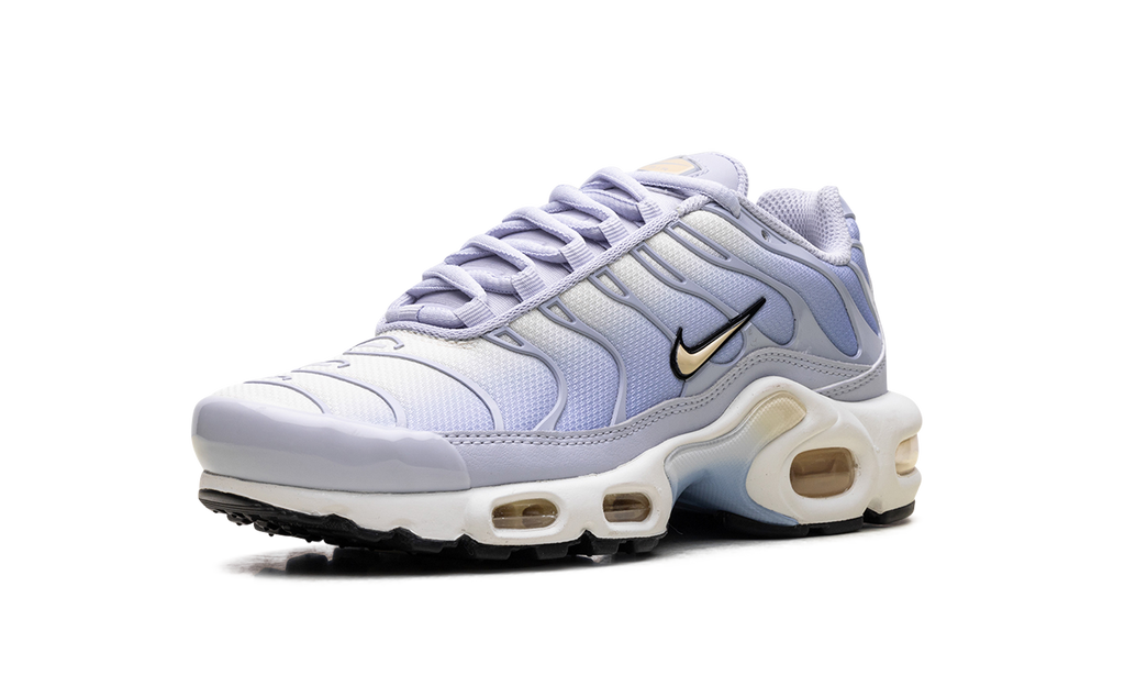 Nike Air Max Plus WMNS Daybreak DZ3670 004