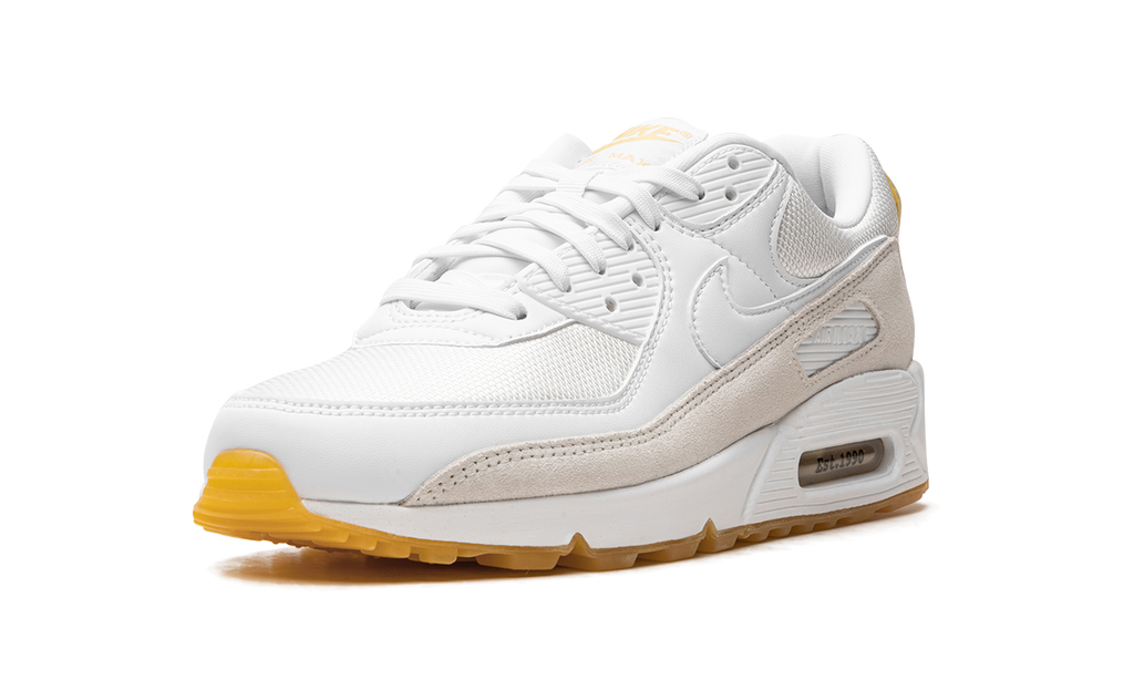 Nike Air Max 90 Frank Rudy DV1734 100