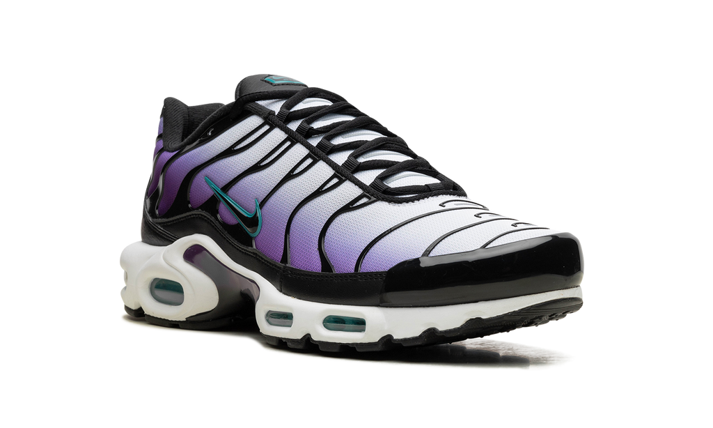Nike Air Max Plus Reverse Grape FQ2415 500