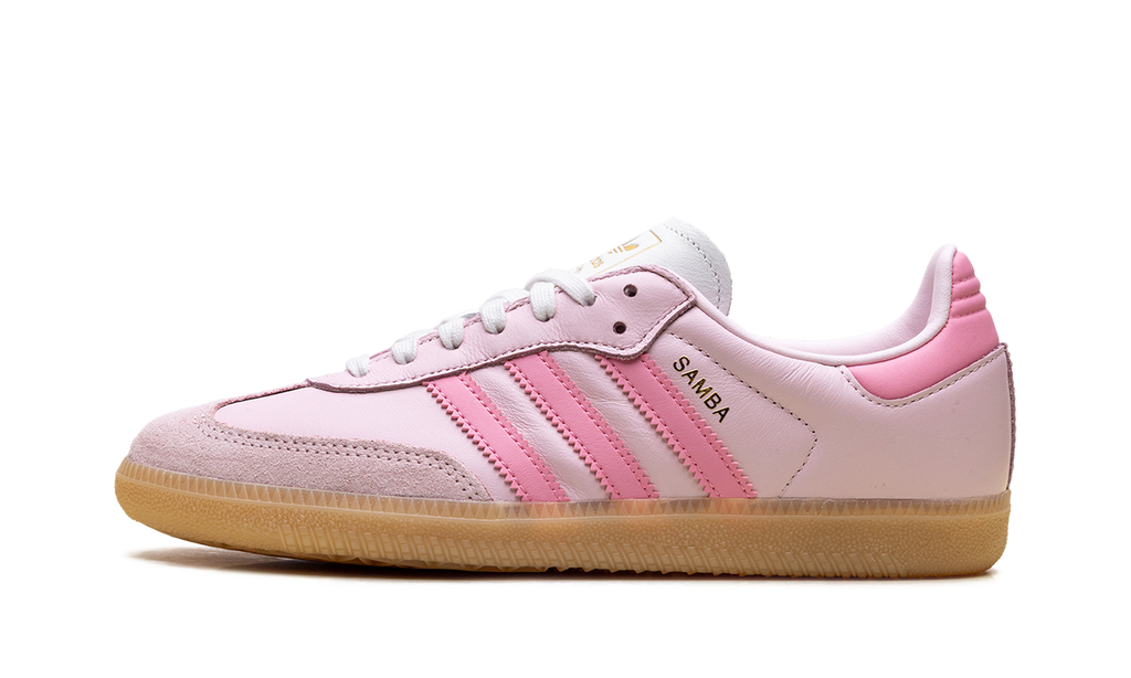 Adidas Samba OG WMNS Neapolitan Pack - Clear Pink JS4091