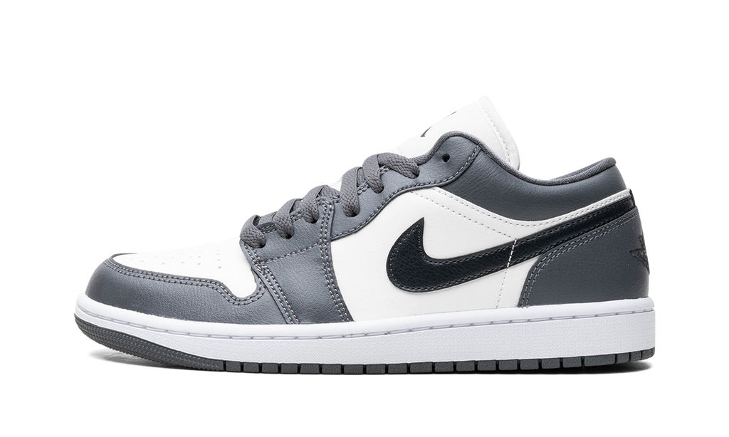 AIR JORDAN 1 WMNS Dark Grey DC0774 102