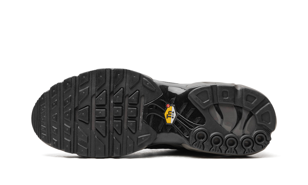 Nike Air Max Plus Black Tea / Petra Brown Black Tea / Petra Brown HJ4519 200