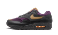 Nike Air Max 1 Premium Fade Pack 875844 002