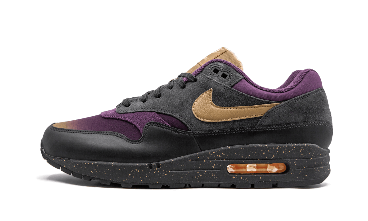 Nike Air Max 1 Premium Fade Pack 875844 002