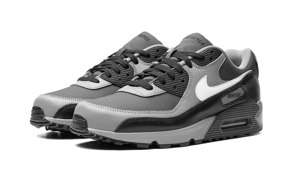 Nike Air Max 90 GORE-TEX Dark Smoke Grey FD5810 002