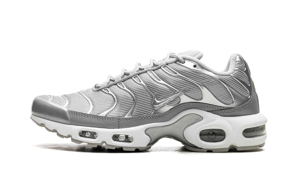 Nike Air Max Plus Metallic Silver Fj1012 095