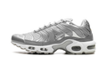 Nike Air Max Plus Metallic Silver Fj1012 095