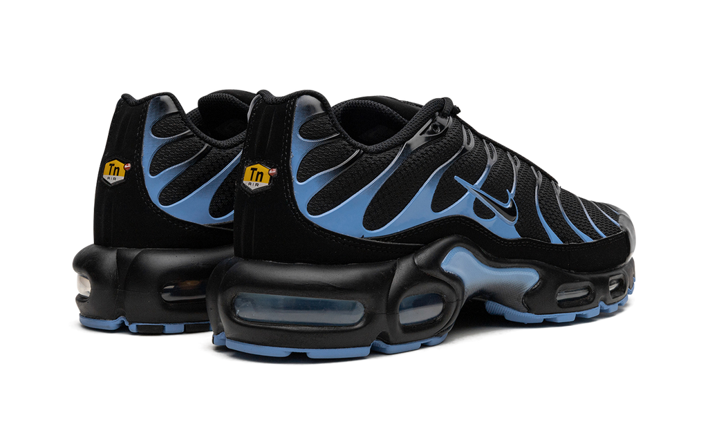 Nike Air Max Plus Black / University Blue DM0032 005