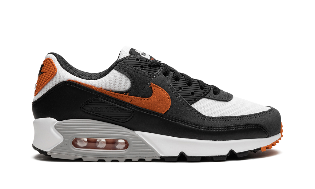 Nike Air Max 90 Starfish DM0029 101