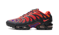 Nike Air Max Plus Drift All Day FD4290 003