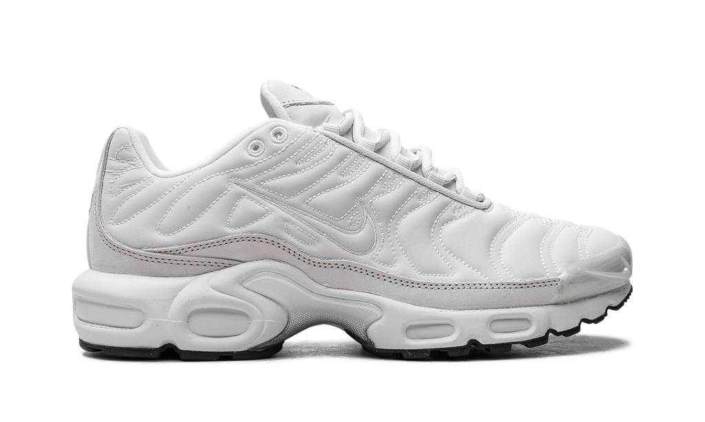 Nike Air Max Plus WMNS Platinum Tint FZ4342 001