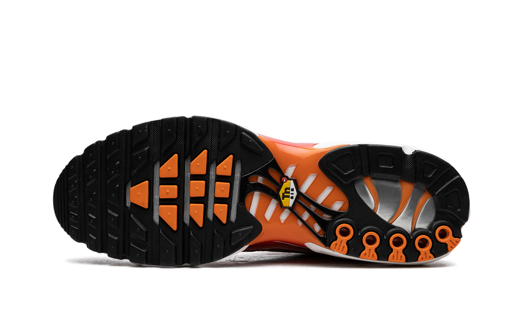 Nike Air Max Plus Light Photography - Sport Red DZ3531 600