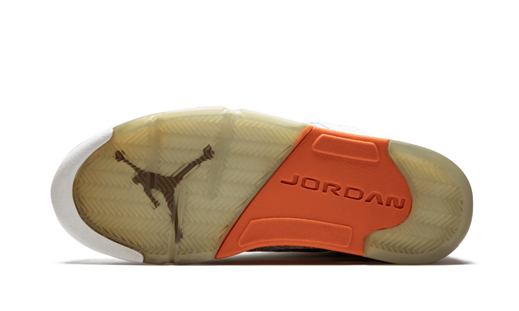 Air Jordan 5 RA Laser 315749 131