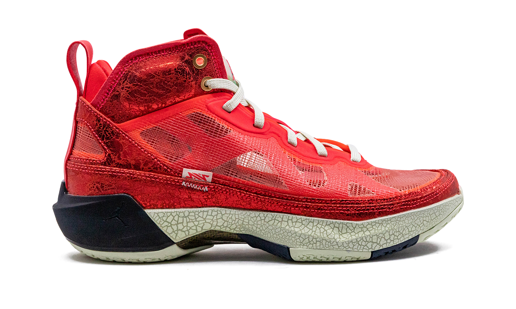 Jordan 37 Rui Hachimura DX1691 600
