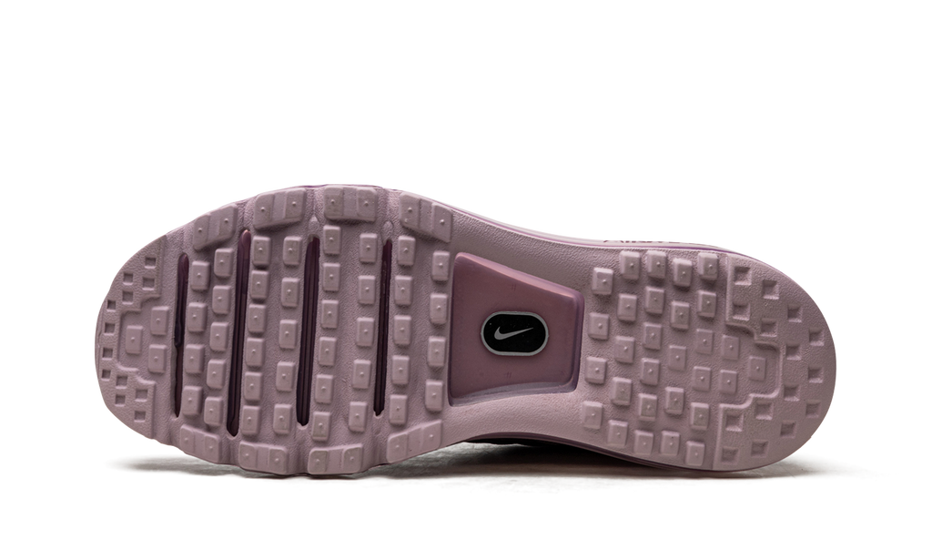 Nike AIR MAX 2017 MNS WMNS Plum 849560 503