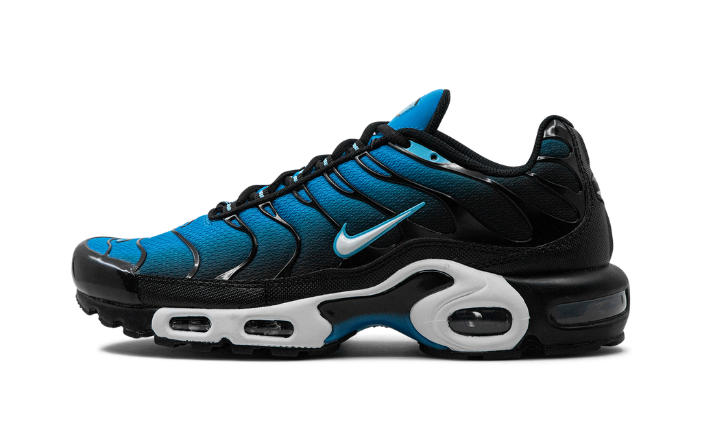 Nike Air Max Plus Aquarius Blue DM0032 402