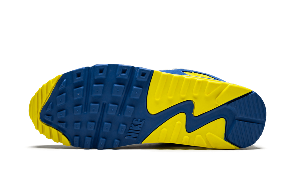 Nike Air Max 90 QS VIOTECH 2.0 CD0917 300