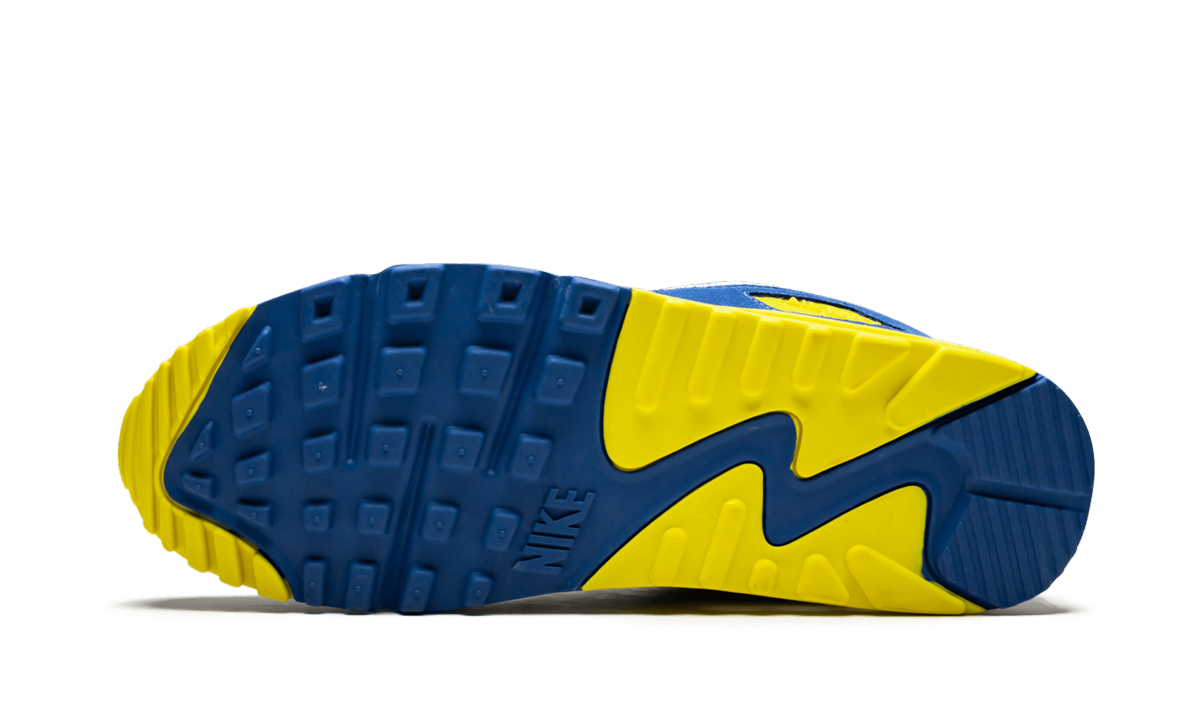 Nike Air Max 90 QS VIOTECH 2.0 CD0917 300