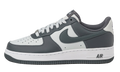 Nike Air Force 1 Low Photon Dust / Dark Grey FJ4146 004
