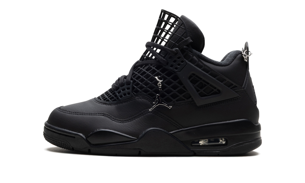 Air Jordan 4 WMNS Net Black FN7251 001