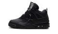 Air Jordan 4 WMNS Net Black FN7251 001