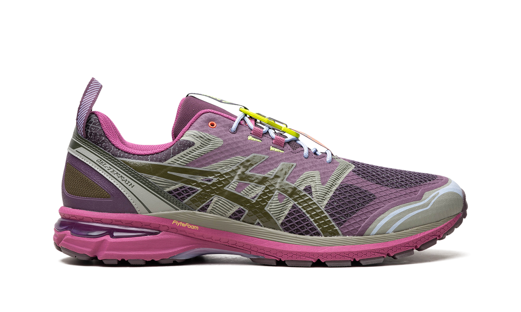 Asics GEL-Terrain Up There 1203A520 500