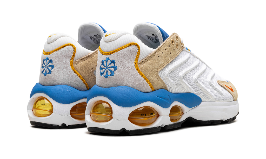 Nike Air Max TW Frank Rudy DV1232 100