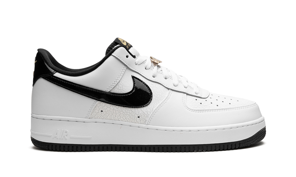 Nike Air Force 1 07 LV8 EMB World Champ DR9866 100
