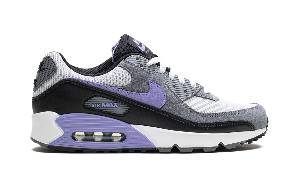 Nike Air Max 90 Light Thistle DM0029 014