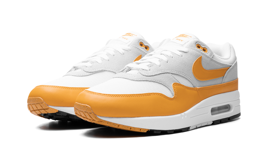 Nike Air Max 1 Gold FZ5808-100