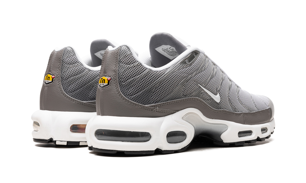 Nike Air Max Plus SE Flat Pewter DV7665 002