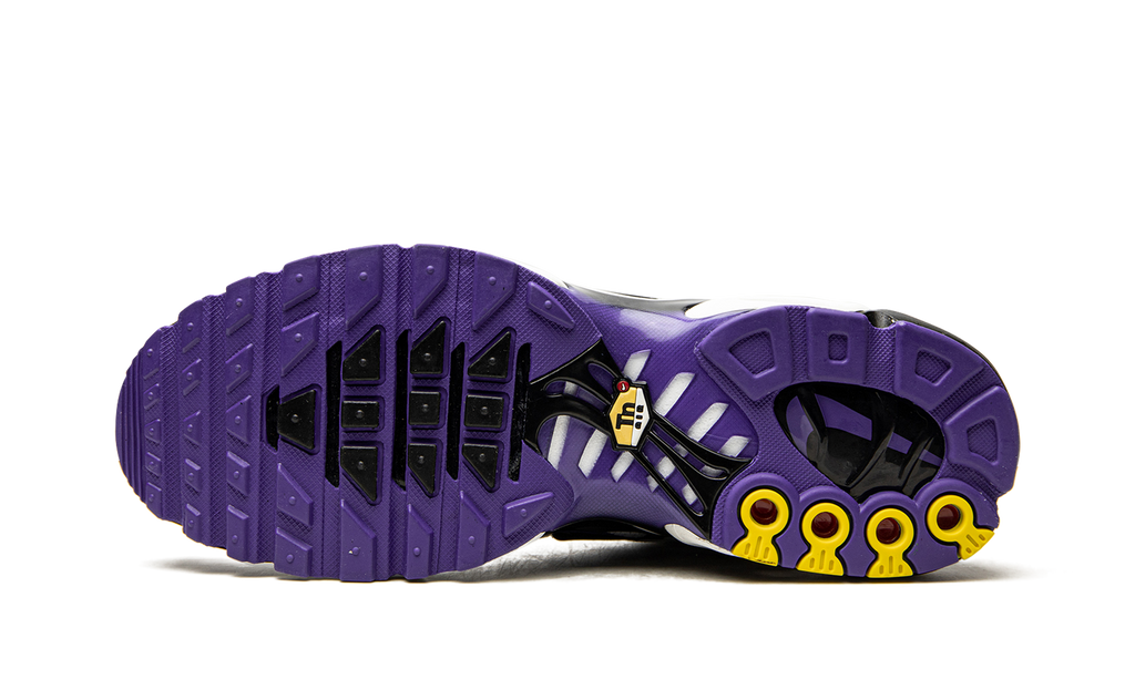 Nike Air Max Plus Persian Violet DB0682 100