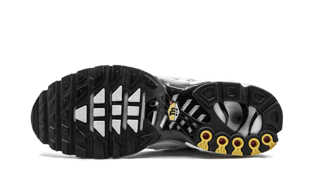 Nike Air Max Plus White Shark AJ6311 100