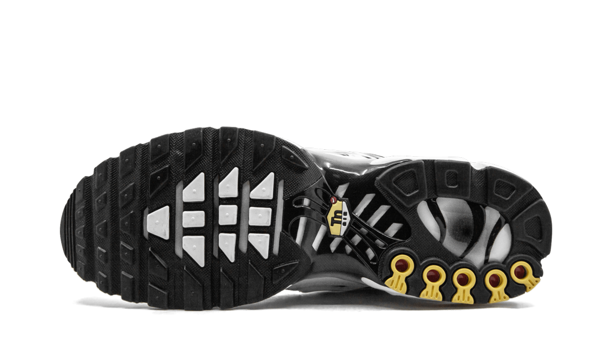 Nike Air Max Plus White Shark AJ6311 100