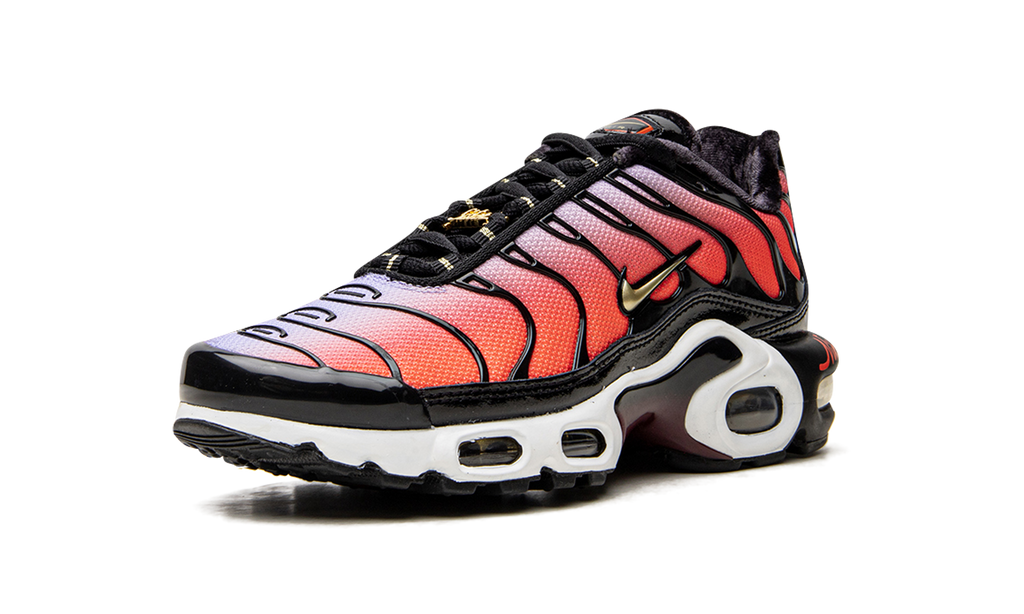 Nike AIR MAX PLUS MNS WMNS Sisterhood DO6115 500