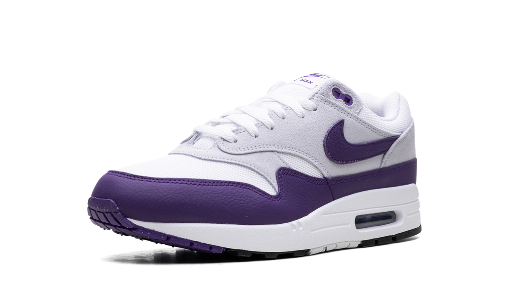 Nike Air Max 1 SC Field Purple DZ4549 101