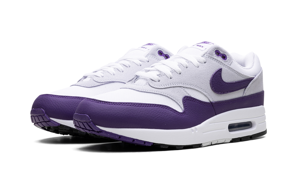 Nike Air Max 1 SC Field Purple DZ4549 101
