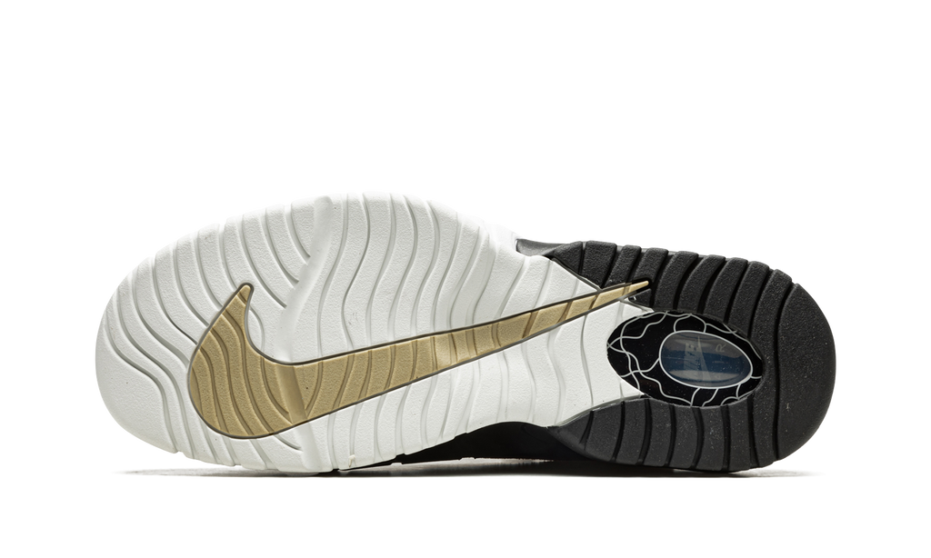Nike Air Max Penny 1 Rattan DV7442 200